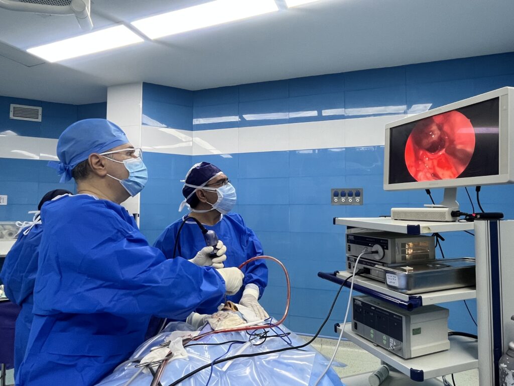 عمل جراحی اندوسکوپیک تومور قاعده جمجمه (Endoscopic resection of the cranial base tumor)توسط جناب آقای دکتر حامد ریحانی متخصص جراحی مغز و اعصاب با همراهی دکتر باقر بحرینی متخصص گوش و حلق و بینی